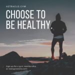WordPress themes